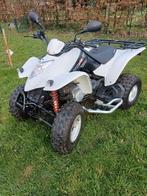 Quad Kymco Maxxer 250, 250 cm³, 12 à 35 kW