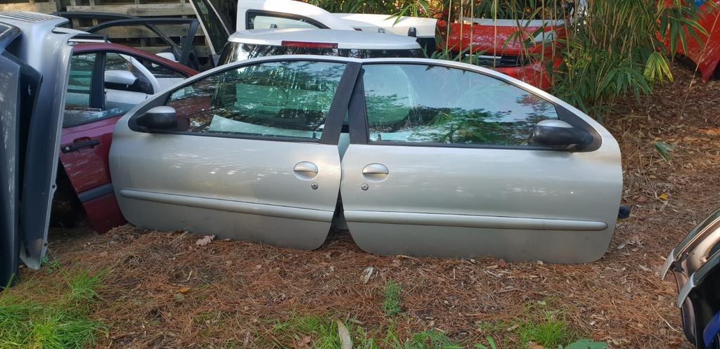 PEUGEOT 206 PORTIEREN CHAMPAGNE METALLIC BJ 98 TOT 2006, Gebruikt, -, Deur, -