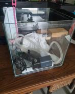 Visbak + toebehoren, Dieren en Toebehoren, Ophalen