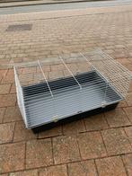 Konijnen of cavia kooi, Enlèvement, Cage, Cobaye
