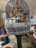 Parkiet met kooi, Ophalen, Zo goed als nieuw