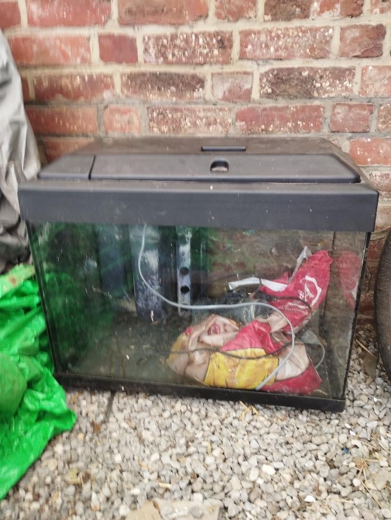 Aquarium, Animaux & Accessoires, Enlèvement, Gravier, Sable ou Substrat