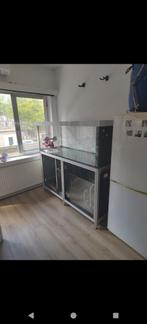 Aquarium zeewater of zoetwater 160 cm, Enlèvement