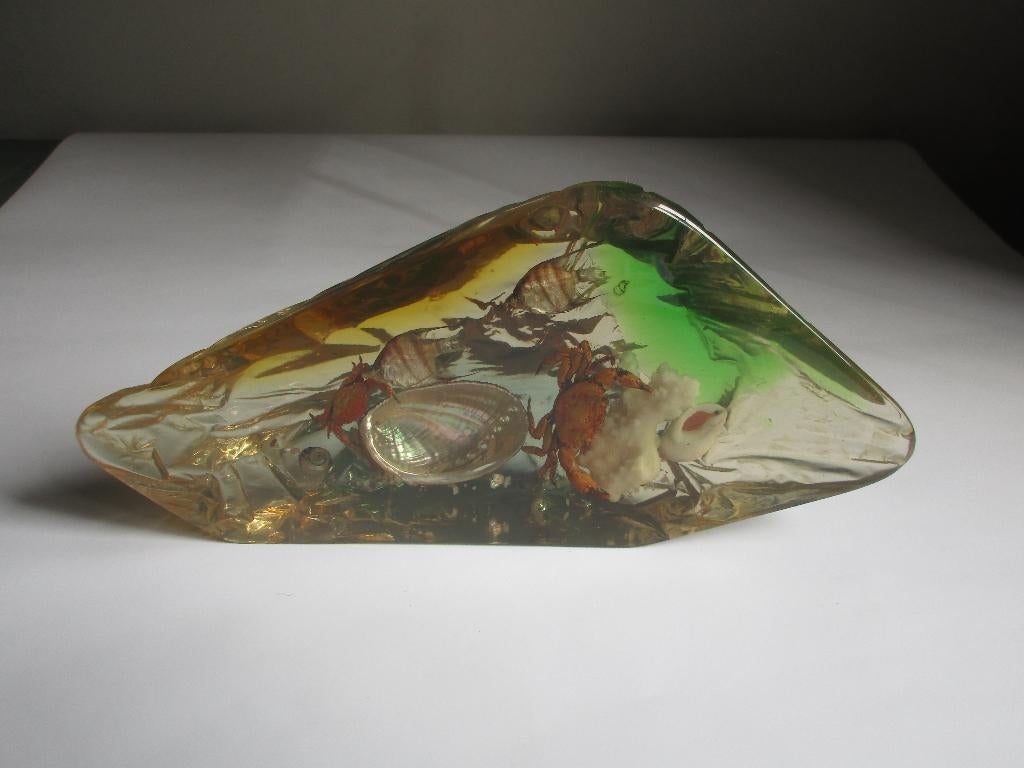 Ingegoten zeediertjes in kunsthars, Ophalen of Verzenden, Nieuw, Dier