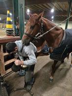 Hoefsmid aangeboden, Ophalen