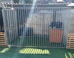 Honden kennel / ren met dak 300 x 200 x 200, Dieren en Toebehoren, Ophalen, Hondenkennel