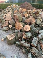 Brandhout populier, Ophalen