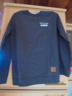 Chiro pull volwassenenS (36), Enlèvement ou Envoi, Comme neuf, Fille, Pull ou Veste