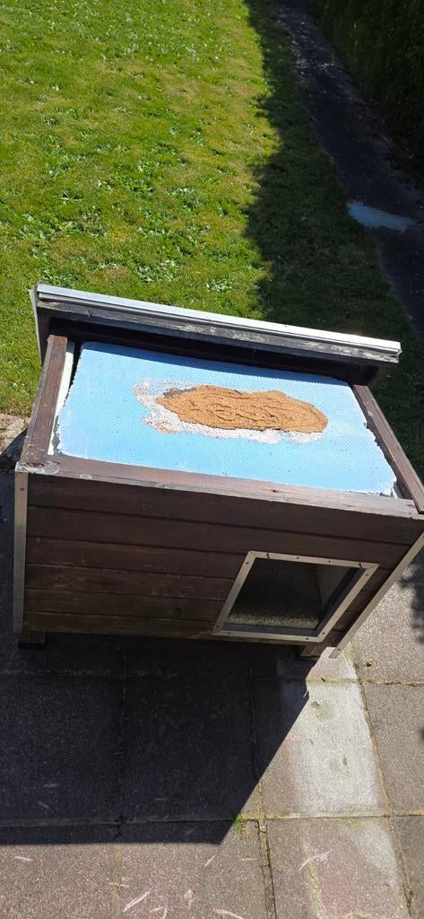 Abri à chat, Animaux & Accessoires, Enlèvement