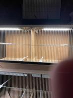 Te koop twee kweek kooien gemaakt uit betonplexplaat, Geslacht onbekend