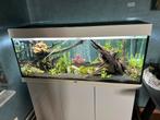 Aquarium juwel, Dieren en Toebehoren, Ophalen, Gebruikt, Gevuld zoetwateraquarium