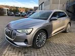 Audi e-tron E-Tron 55 Quattro lederen interieur,open schuifd, Cuir, Argent ou Gris, Achat, 408 ch