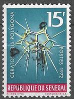Senegal 1972 - Yvert 379 - Ceratospyris polygona (ST), Timbres & Monnaies, Timbres | Afrique, Affranchi, Envoi