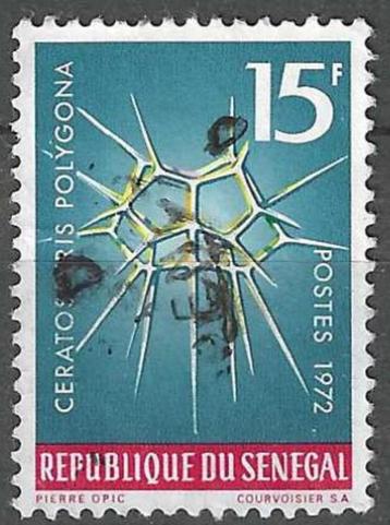 Senegal 1972 - Yvert 379 - Ceratospyris polygona (ST)