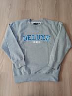 Sweather skatedeluxe heren xs, Vêtements | Hommes, Pulls & Vestes, Enlèvement ou Envoi