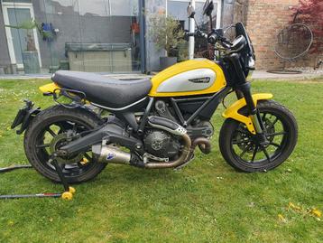 Ducatie Scrambler 800 abs, Plus de 35 kW, 800 cm³, 2 cylindres, Particulier