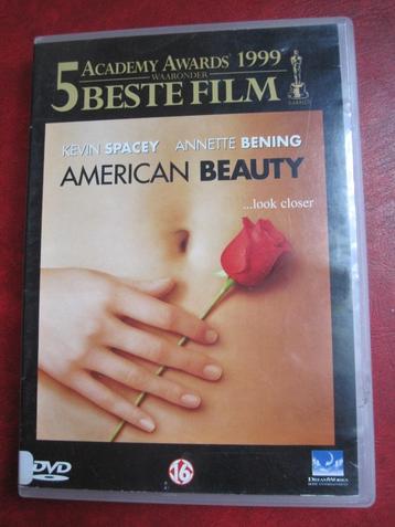 American Beauty (1999) beschikbaar voor biedingen