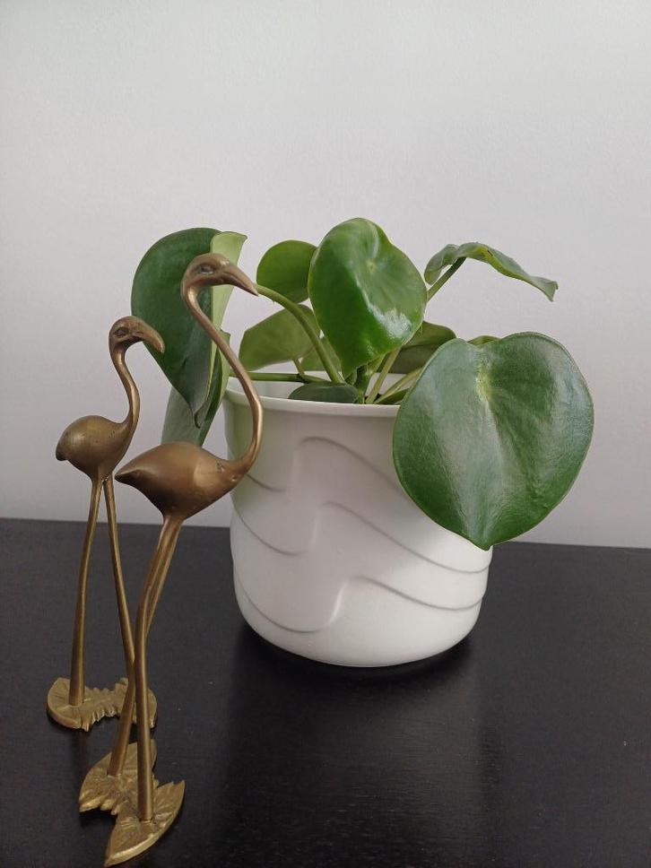 Vintage bloempot 892-15 wit golf West Germany 1960’s, Antiek en Kunst, Antiek | Keramiek en Aardewerk, Ophalen of Verzenden