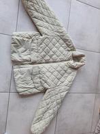 Jas van Zara, Enlèvement