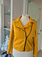 Damesvest, Kleding | Dames, Jasjes, Kostuums en Pakken, Ophalen of Verzenden, Zo goed als nieuw, Maat 42/44 (L)