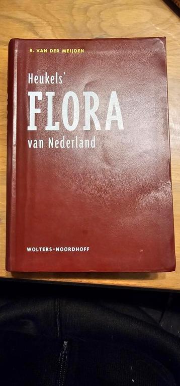Flora van nederland 