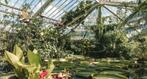 1 e-ticket voor de Plantentuin te Meise, Tickets en Kaartjes, Recreatie | Pretparken en Attractieparken