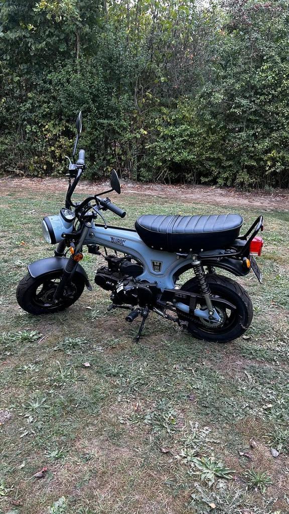 Dax Bluroc - Nieuw - Nooit ingeschreven, Fietsen en Brommers, Brommers | Honda, Nieuw, Overige modellen, Klasse B (45 km/u), Ophalen