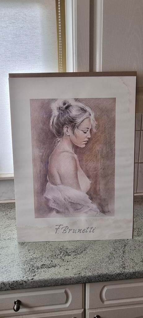 Poster F. Brunetti - vrouwelijk naakt (niet ingelijst), Antiek en Kunst, Kunst | Tekeningen en Fotografie, Ophalen of Verzenden