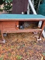 Konijnenhok en koppel dwergkonijnen, Dieren en Toebehoren, Konijnen