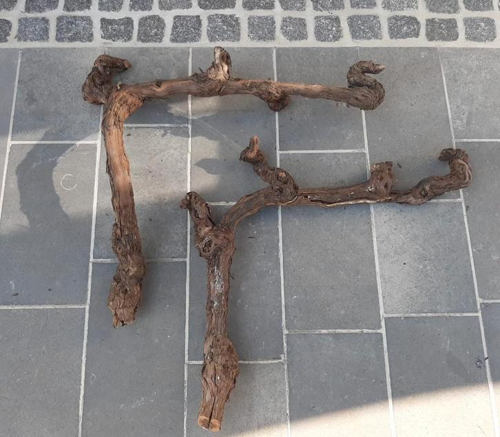 Gedroogde Bourgondische druiventakken/wijnranken, Maison & Meubles, Accessoires pour la Maison | Fleurs séchées, Comme neuf, Enlèvement