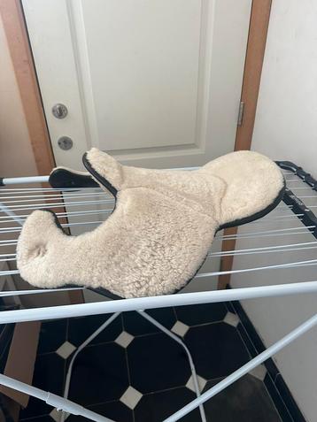 Barefoot schaap zitting  beschikbaar voor biedingen