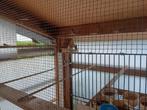Botvink, Dieren en Toebehoren