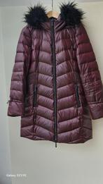 Bordeaux winterjas met capuchon, mt 40, Ophalen of Verzenden, Zo goed als nieuw, Maat 38/40 (M), Bruin