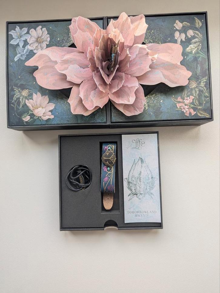 Tomorrowland treasury box incl bandje 2024, Tickets en Kaartjes, Concerten | House, Techno en Trance