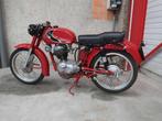 Moto Morini 175 - Motomorini - 175 Touring - Motorfiets, Bedrijf, Overig, Moto Morini 175