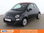 Fiat 500C 1.2 Lounge (année de construction 2019), Autos, 1242 cm³, Achat, Boîte manuelle, 905 kg
