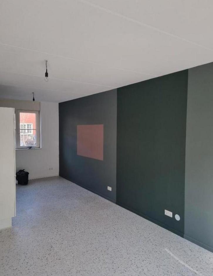 Schilderijen, pleisterwerk, gips en muurplamuur te koop, Zakelijke goederen, Bedrijfs Onroerend goed, Koop