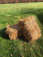 Stro kleine balen, Dieren en Toebehoren, Ophalen