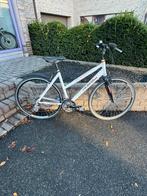 Norta damesfiets, Fietsen en Brommers, Ophalen, Gebruikt, 28 inch, Overige merken