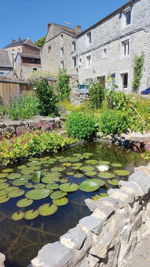 Vakantiehuis te huur; nog vrij met Hemelvaart, Vakantie, Vakantiehuizen | België, Ardennen of Luxemburg, Overige typen, Dorp, Aan meer of rivier