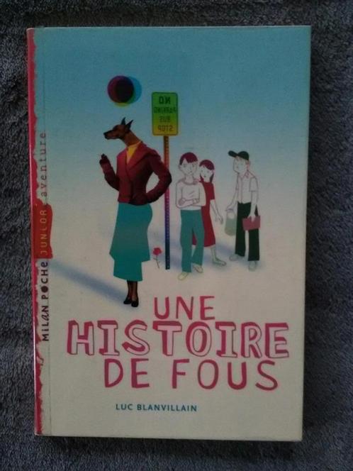 "Une histoire de fous" Luc Blanvillain (2011), Livres, Livres pour enfants | Jeunesse | 10 à 12 ans, Utilisé, Fiction, Enlèvement ou Envoi