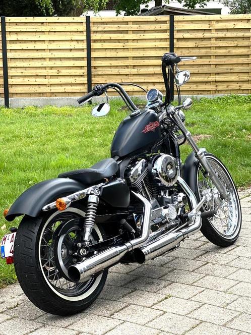 Harley davidson sportster 1200, Motoren, Motoren | Harley-Davidson, Particulier, Chopper, meer dan 35 kW, 2 cilinders, Ophalen