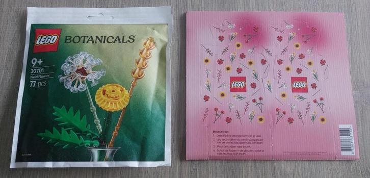 Speelgoed: Lego veldbloemen en 2 bloemenvaasjes (NIEUW), Enfants & Bébés, Jouets | Duplo & Lego, Neuf, Lego, Ensemble complet