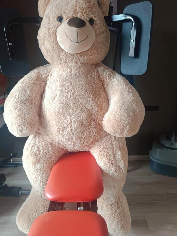 Teddybeer XXL merk pluchiez. Is splinternieuw, zie kaartje, Kinderen en Baby's, Kinderkamer | Inrichting en Decoratie, Ophalen
