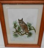 Aquarelle OWL signée F. Wood en bon état, Enlèvement ou Envoi