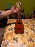 mandoline a 8 cordes, Enlèvement, Utilisé, Autres types