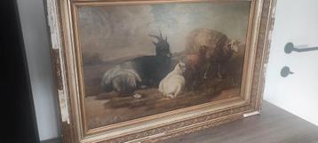 Oud olieverf schilderij op paneel Schapen/geiten beschikbaar voor biedingen