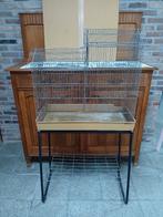 Grote vogelkooi, Animaux & Accessoires, Oiseaux | Cages & Volières, Enlèvement, Utilisé, Métal, Cage à oiseaux