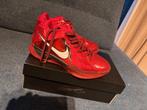 Bastketschoen NIKE ZOOM KD III maat 40, Enlèvement, Utilisé, Chaussures