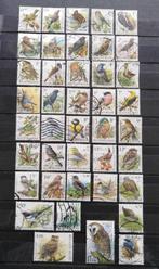 Timbres de Belgique: oiseaux Buzin oblitérés., Ophalen of Verzenden, Gestempeld, Gestempeld, Overig